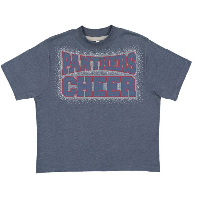 Panthers Cheer - Women's Boxy Tee Thumbnail